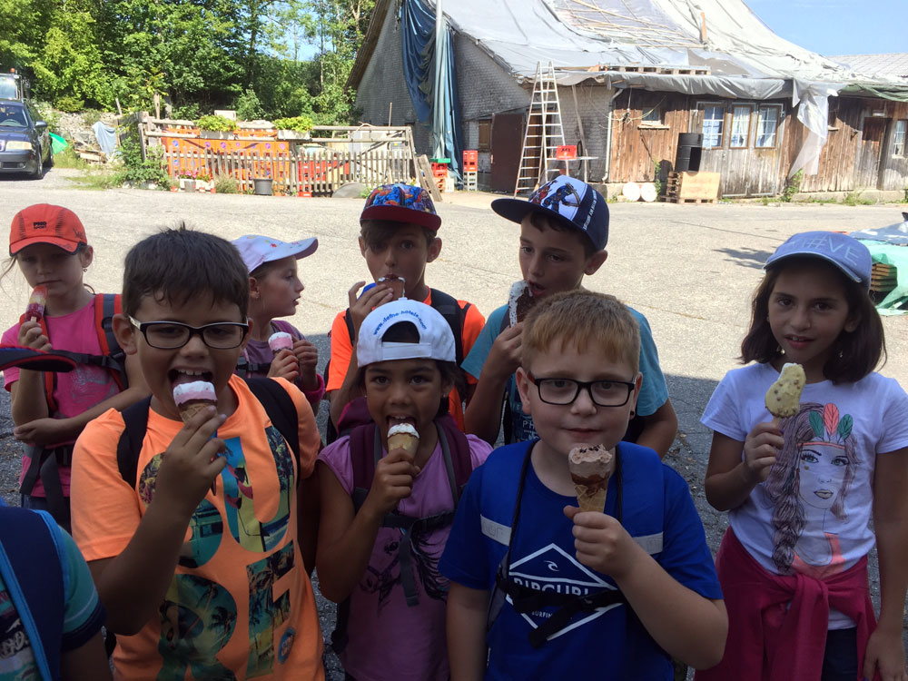 11 glace
