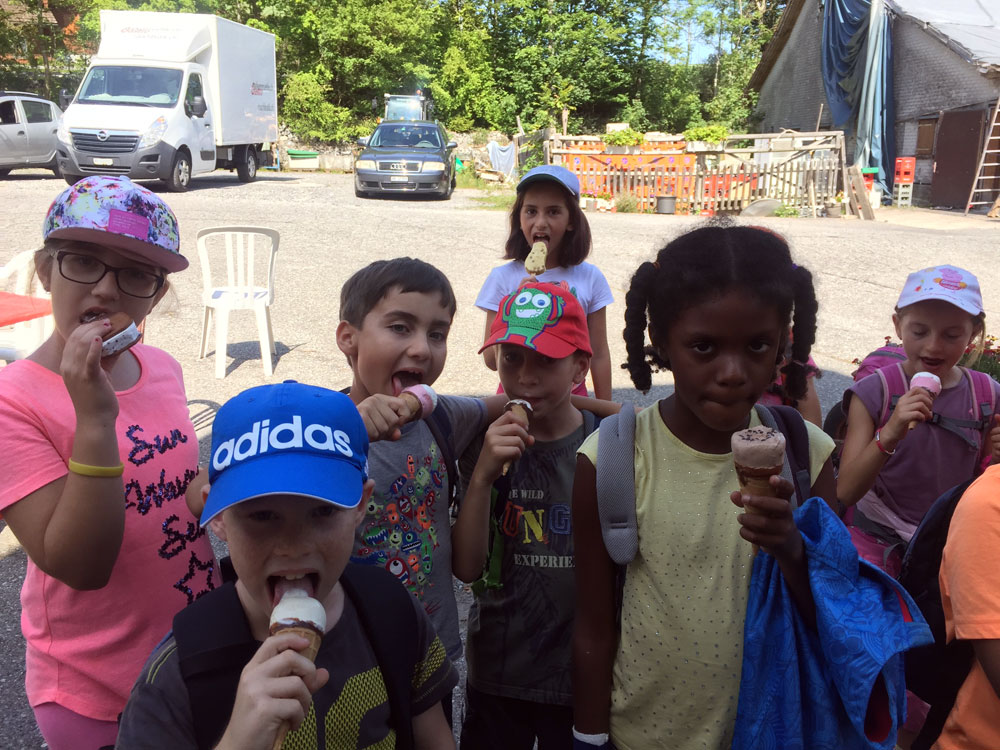 12 glace